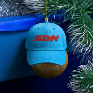 Dispatch SDN Hat – Gamer Lover Gift Hat