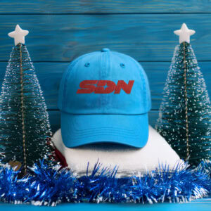 Dispatch SDN Hat – Gamer Lover Gift Hat