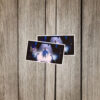 SDN Lab Entrance Scene Sticker