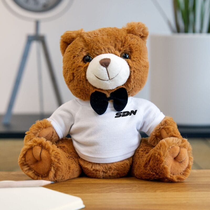 Teddy Bear with SDN Dispatch T-Shirt