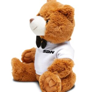 Teddy Bear with SDN Dispatch T-Shirt