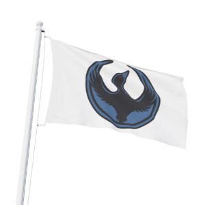 Minnesota Rebel Alliance Logo Flag